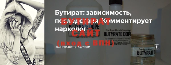 индика Кинешма