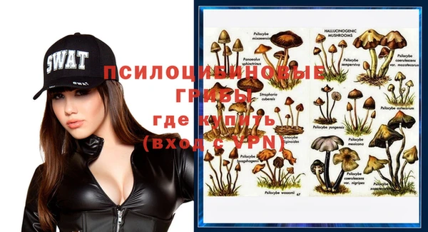 MDMA Premium VHQ Касимов