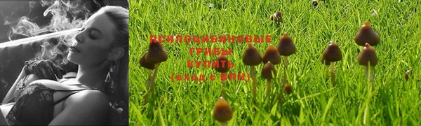 а пвп мука Карпинск