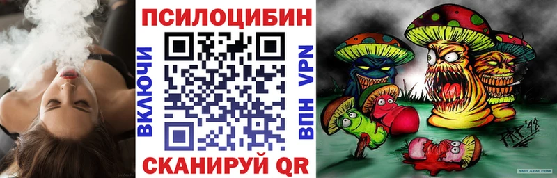 Купить закладки  Назарово  Псилоцибиновые грибы Psilocybine cubensis 